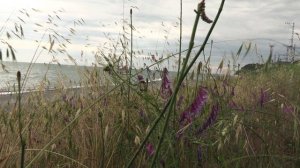 Июньский отдых в Сочи.