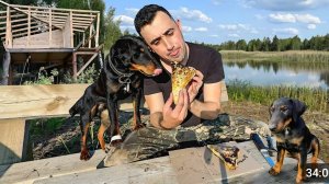 Строю Дом на дереве! Наловил Линков! Сделал конвертики. Проведали сыночка Тони!