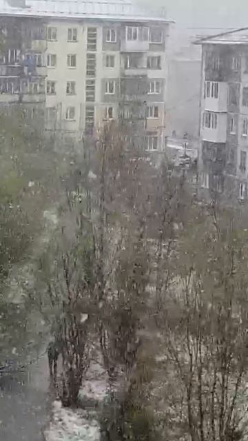 Воркута  17.06.2025