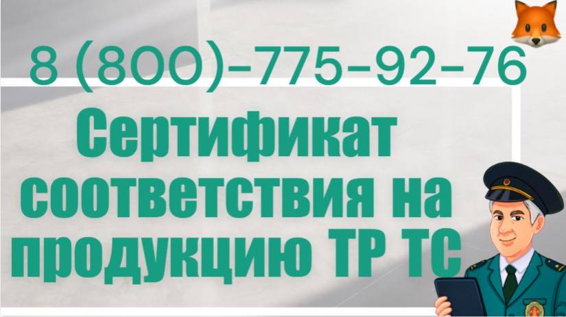 Сертификат соответствия продукции ТР ТС под ключ смотреть онлайн
