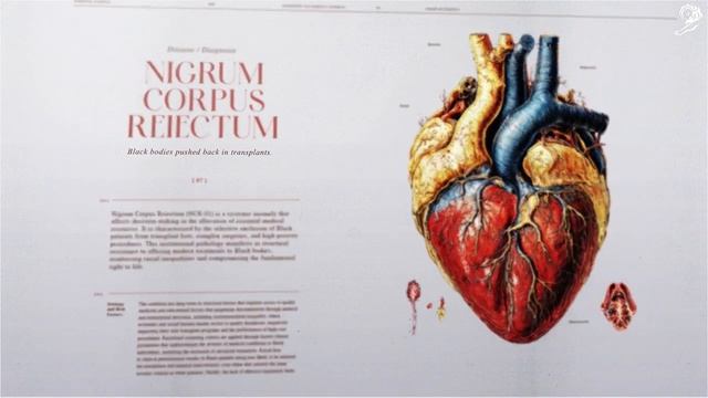 IDOMED - Nigrum Corpus (case study) смотреть онлайн