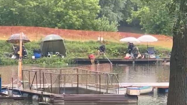 Осетрина смотреть онлайн