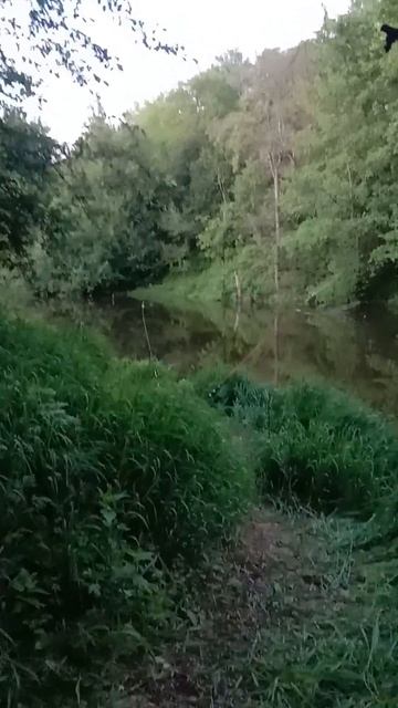 ПЕРВАЯ НЕУДАЧНАЯ РЫБАЛКА С НОЧЕВКОЙ! РЕКА МАЛАЯ КОКШАГА! 24.05.2025 ГОДА ЧАСТЬ-6 #fishing #рыбалка смотреть онлайн