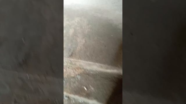 VID_20250618_140306 (1)