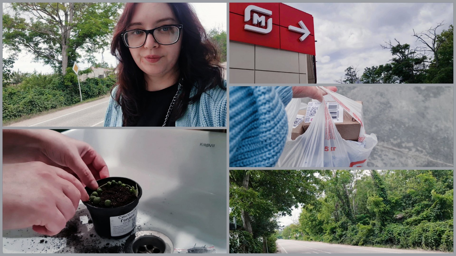 Купила растение на Вайлдберриз.Распаковка.