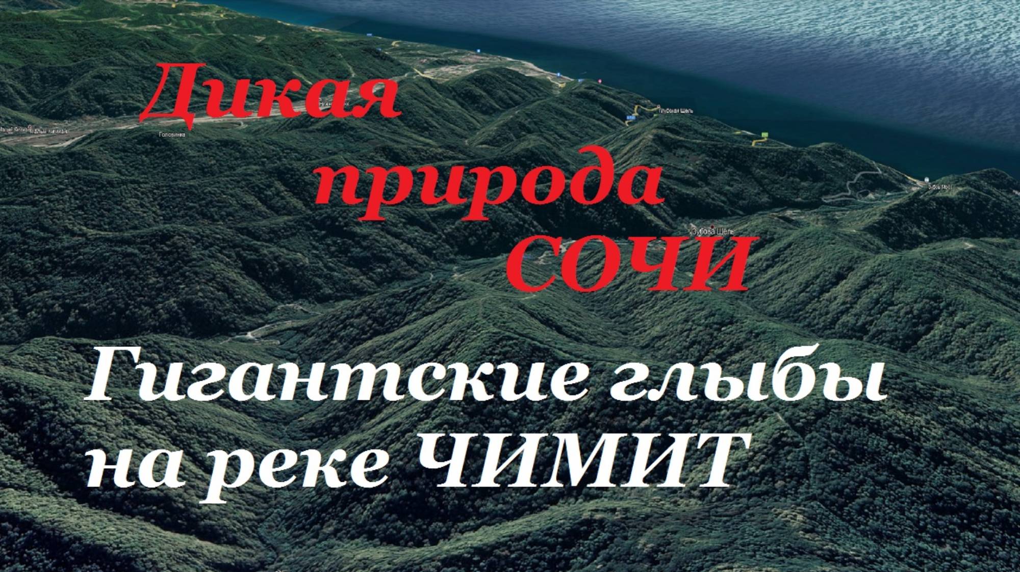 Джунгли Сочи. Дикие места на реке Чемит в Лазаревском. смотреть онлайн