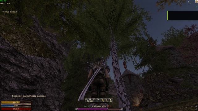 Пень в воздухе