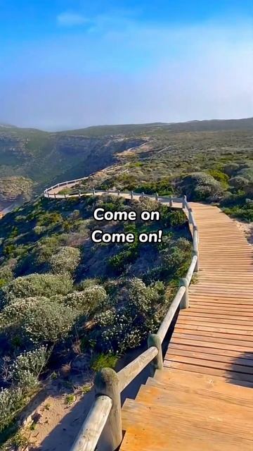 Город мечты. #кейптаун #лучшийгородземли #юар #африка #travel #capetown #южнаяафрика #africa