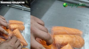 Вакуумный упаковщик Vega VPM-800/2S I Упаковка продуктов