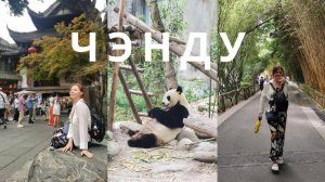 Чэнду за 18 часов. Длительная пересадка. Панды и древние улицы в режиме спринта!