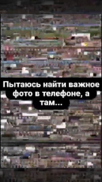Кошка ЛАККИ 😸 смотреть онлайн