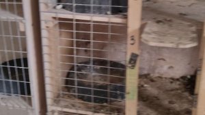 Подрастает молодёжь .VID_20250618_101635.mp4