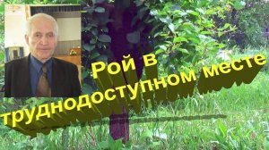 Как достать рой с труднодоступного места? Метод Кашковского