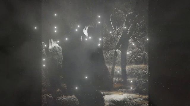 ✵K.K.D✵ - Forest of Shadows - Elf's Love смотреть онлайн