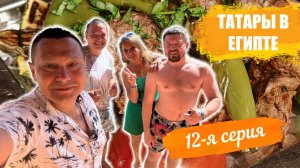 Отпуск 2025 в отеле Pickalbatros Luxury Suites 5* Зима Египет 12-я серия