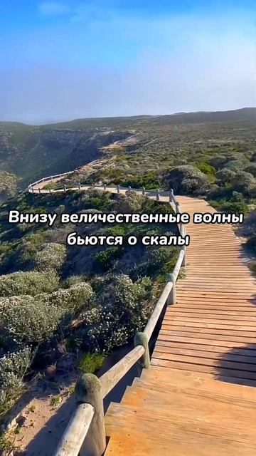 Край земли! #крайсвета #кейптаун #юар #пингвины #африка #travel #africatour #africancountry