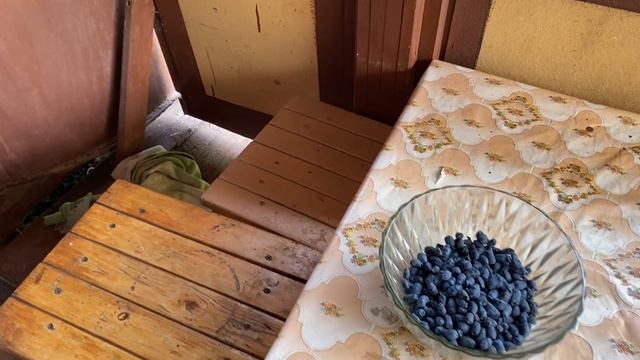 СНТ дачный дом 270. 3,5 сотки, дача 30 м2, смотреть онлайн