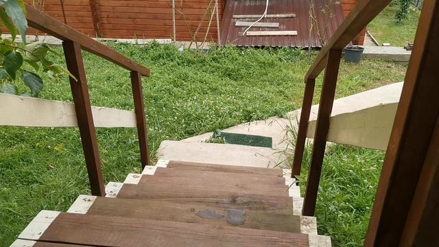 СОЧИ ГОРНОЕ ЛОО УТРО 18.06.2025 смотреть онлайн