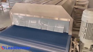 Сушка овощей, фруктов, зелени, ягод машина Leaddenmar Drying Conveyor Pro Vibro_ Конвейерная сушилка