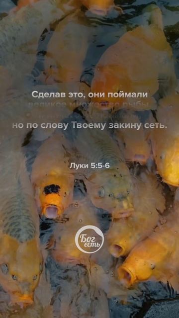 Луки 5:5-6 смотреть онлайн
