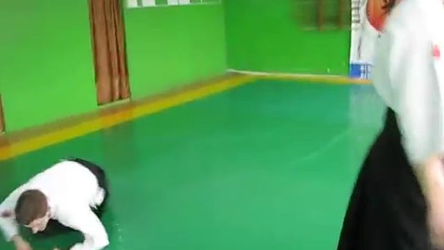 Базовые техники айкидо