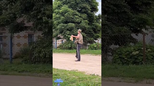 голливудские тигры 🐯 смотреть онлайн