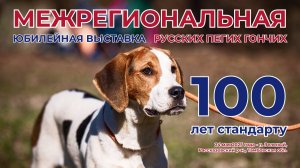 Межрегиональная юбилейная выставка русских пегих гончих собак, 100-лет стандарту. 24 мая 2025 год.