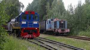 Разные поколения. Тепловозы ТГМ1 1470 и ТГМ6А 1698 делают манёвры на подъездном пути от ст. Очаково