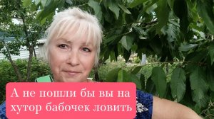 💥НАШЕ УТРО💥А НЕ ПОШЛИ БЫ ВЫ НА ХУТОР БАБОЧЕК ЛОВИТЬ🤷