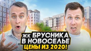 Обзор ЖК Брусника в Новоселье СПБ - НИЗКИЕ цены, семейные квартиры и террасы / Старт продаж 2025