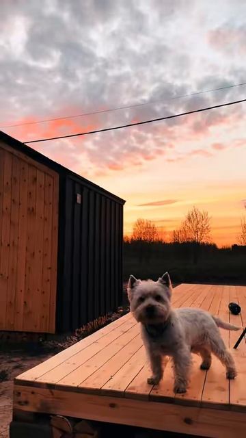 🇷🇺🖤🔥 смотреть онлайн