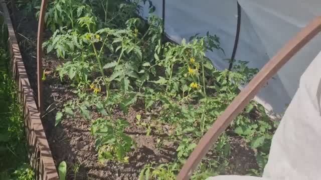 Обустраиваем зону отдыха. Наводим уют. Вот это помощь. смотреть онлайн