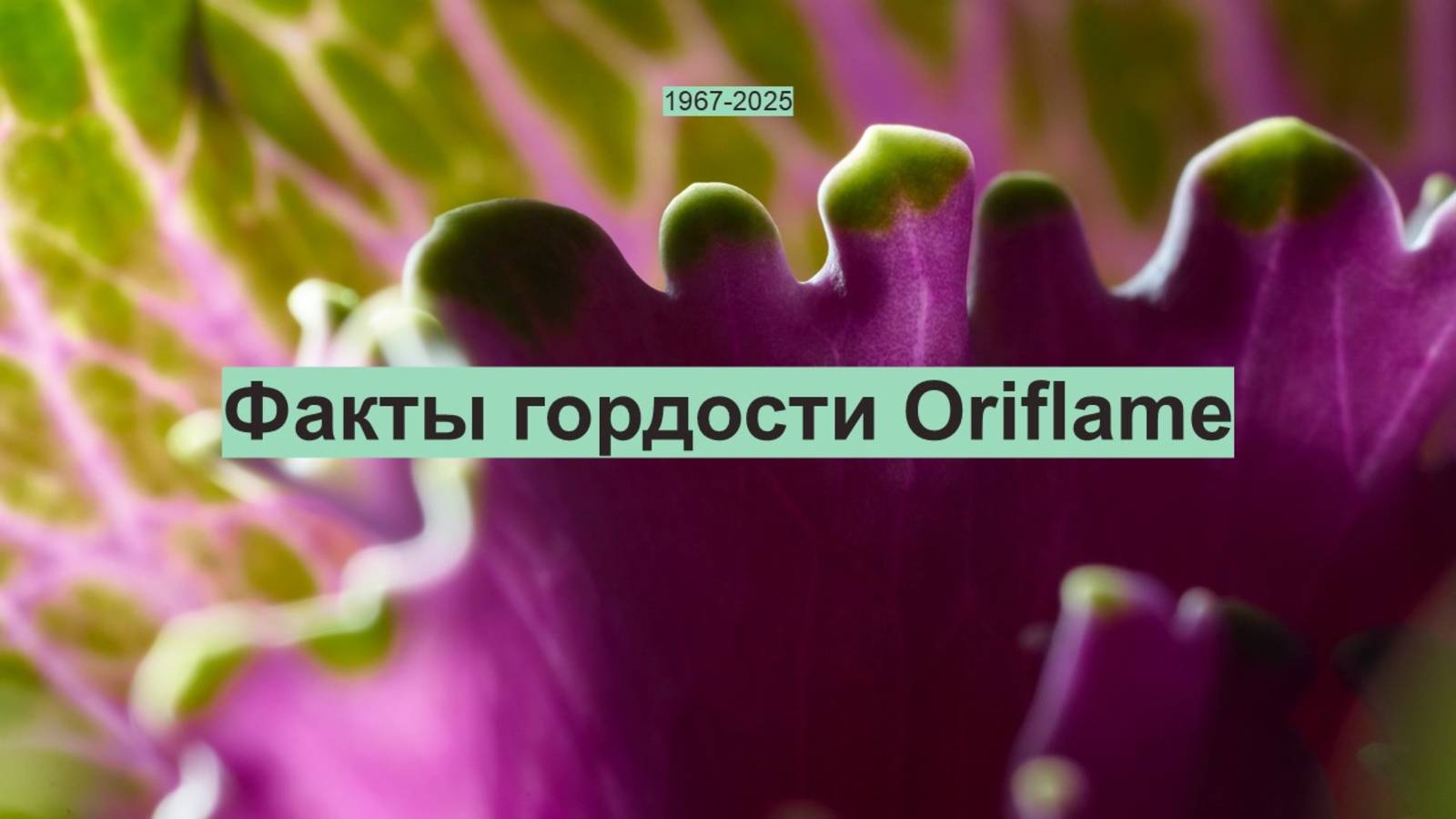 Светлана Миронова - Факты гордости компании Орифлэйм 2025