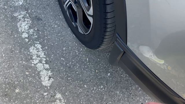 црв серебро-2