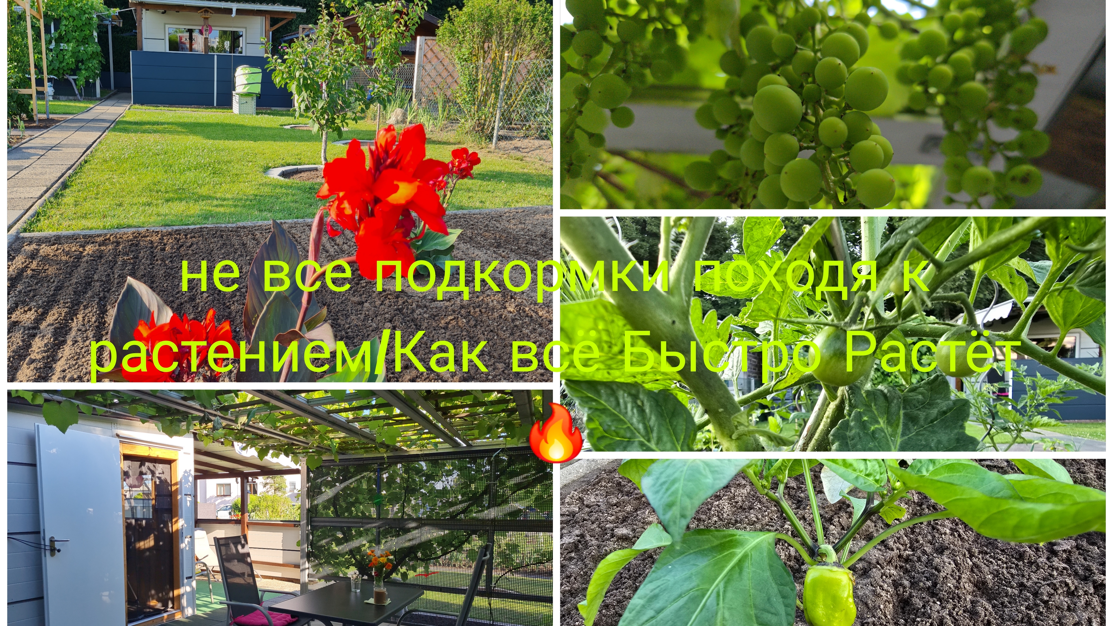 Vlog 🇩🇪 Кто Ест Ягода/Наша Дача в Германии 🏕/Осторожно с Подкормки Летом/Всё растёт и Пахнет смотреть онлайн