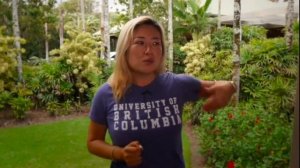 .История трансформации по медитациям Джо Диспенза