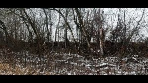 Охота на зайца