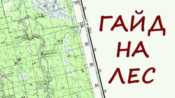 Лес: Ультимативный гайд на походы