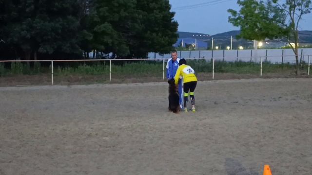 1 Отл. КЧК ШВЕППС из Фортуна Мерди Лучшая защита! №20. КЧК НОВОРОССИЙСК 13 июня`25 Ю.Овсянникова