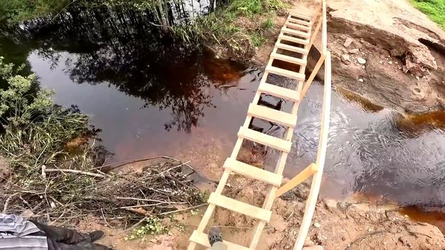 Дорогу делают ! Бобёр будет жить ! ХУТОР В ЛЕСУ №719 смотреть онлайн