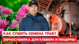 Как сушить семена трав. Зерносушилка для клевера и люцерны.