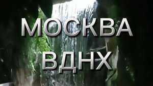 Релаксная музыка и большое количество видов рыб. ВДНХ, Москва, Океанариум