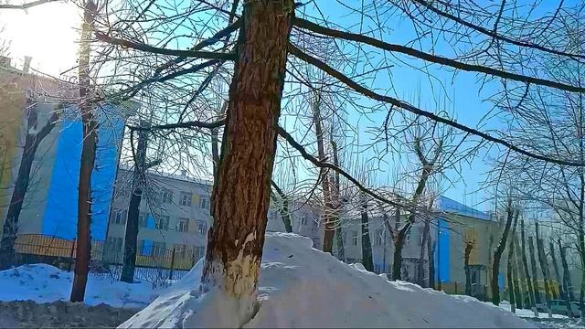 24.2.2021г Rec 0001 смотреть онлайн