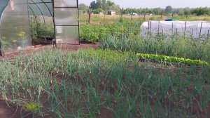 ЖИЗНЬ В ДЕРЕВНЕ. ХРОНИКА ДНЯ.