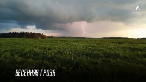 Весенняя гроза