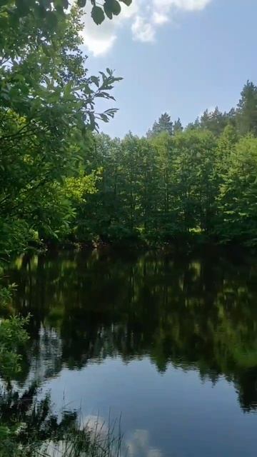 (26) Библия Евангелие от Иоанна глава 7 стих 1-8 смотреть онлайн