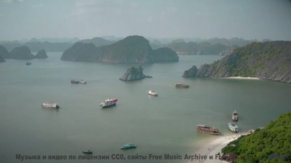 Вы не поверите, что это реальность - пока не услышите! - Panique -- Juniore -- Live at WFMU for Soph