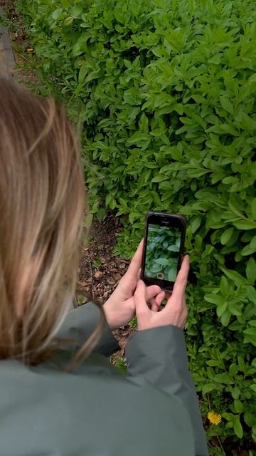 Зачем нужно снимать