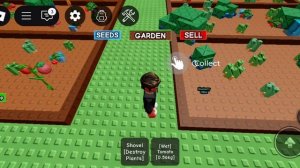 Вырасти сад