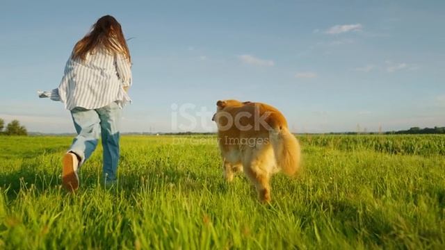 test смотреть онлайн